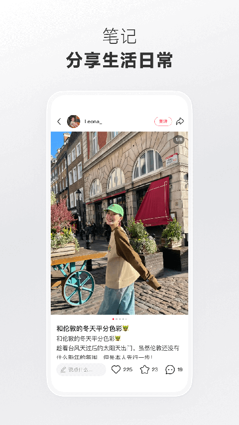 鼯鼠滑翔织星网壁纸